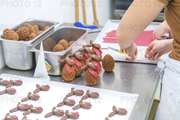 Chocolate brown reindeer cookies with red scarves are prepared in a bakery, Christmas baking,