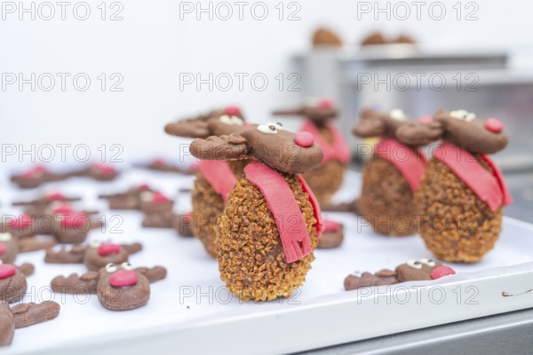 A tray full of reindeer cookies with red noses and scarves in a bakery, Christmas baking,