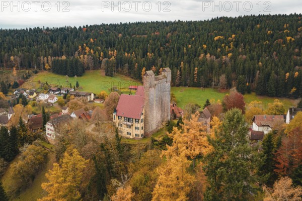 A castle sits majestically in a green meadow surrounded by autumnal forests, Berneck Castle,