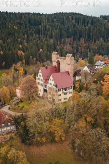 A castle with red tiled roofs surrounded by autumn-colored trees and small houses, Berneck Castle,