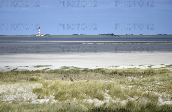 Dune landscape near Sankt Peter-Ording, Westerhever lighthouse, North Sea, Schleswig-Holstein,