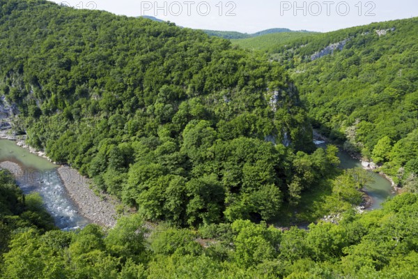 Lush green forest landscape by a river surrounded by hills, view of the Zkalzitela River from