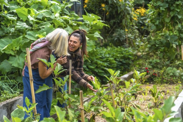 Two women sharing joyful gardening moments in a sunny home garden, tending plants, laughing and