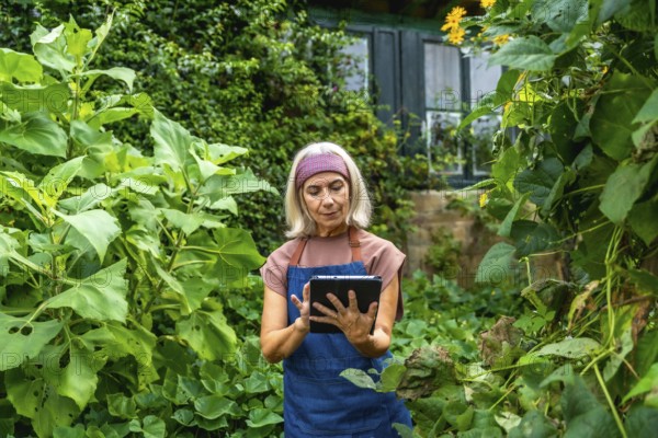 Senior woman in an apron interacting with a digital tablet in a lush outdoor garden, managing