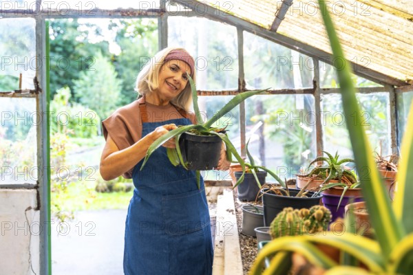 Senior woman wearing an apron and headband smiling, standing inside a rustic greenhouse while