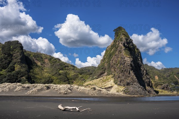Landscape in New Zealand with sandy beach. Karekare Beach and The Watchman Rock. Karekare,