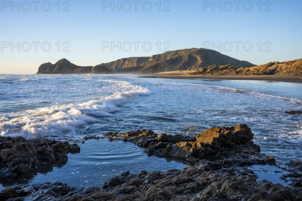 Landscape in New Zealand with sea and sandy beach. Bethells Beach (Te Henga), evening, golden hour.