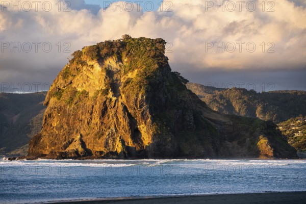 Landscape in New Zealand with sea and beach. Piha Beach and Lion Rock. In the evening, golden hour.