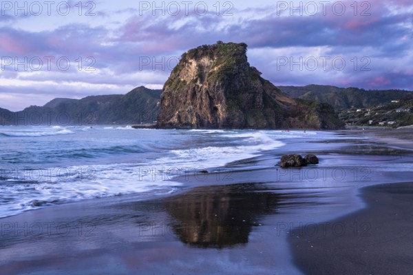 Landscape in New Zealand with sea and sandy beach. Piha Beach and Lion Rock. Surfers in water. In