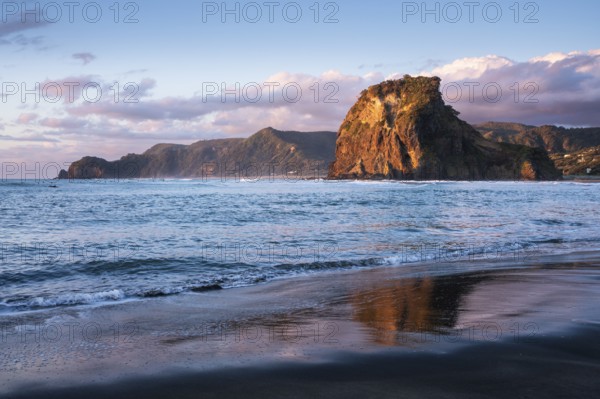 Landscape in New Zealand with sea and sandy beach. Piha Beach and Lion Rock. Surfers in water.