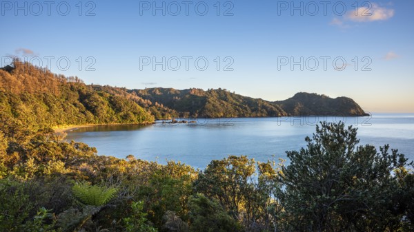 Landscape and sea in New Zealand. View of Otara Bay in the morning at sunrise, golden hour. Otara