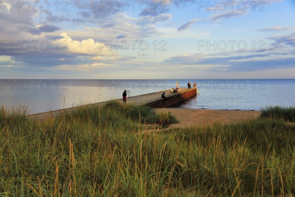 Coastline with beach, grasses on the shore, bathers at the jetty, summer in Ystad, evening sun,