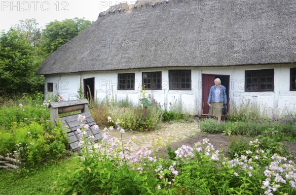 Half timbered house with thatched roof by older kitchen garden in Den gamle by, The old village,
