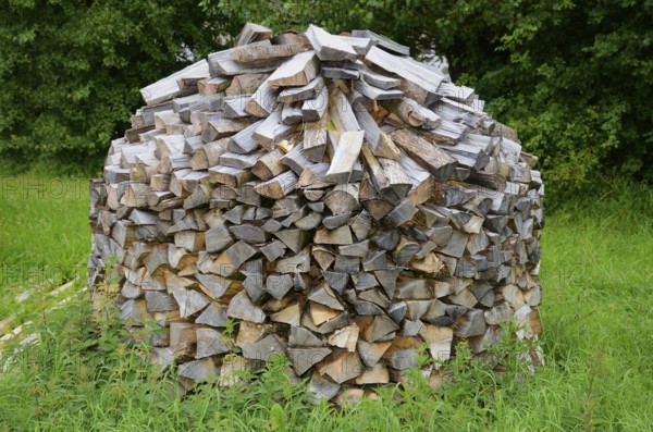 Stack of firewood in Den gamle by, The old village, open air museum in Odense, Fyn island, Fuen,