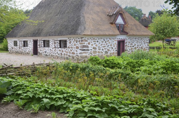 Stone house with thatched roof by older kitchen garden in Den gamle by, The old village, open air