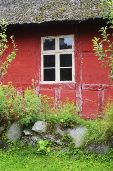 Window in red wall of half-timbered house with thatched roof in Den gamle by, The old village, open