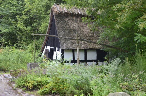 Older half-timbered house with thatched roof by older well in Den gamle by, The old village, open