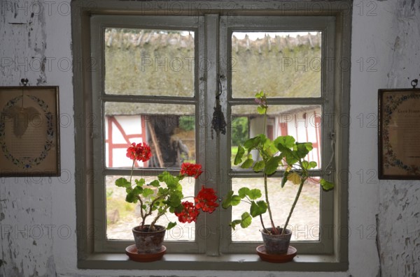 Geraniums in an old barred window and with a view out onto a half-timbered courtyard with a