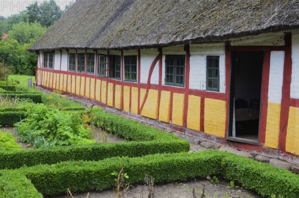 Half-timbered house with thatched roof by an older kitchen garden with boxwood hedges in Den gamle