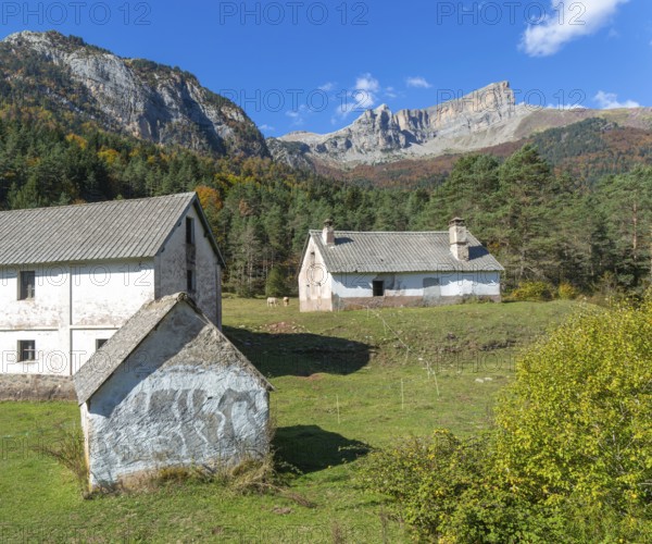 Farm buildings for livestock, Selva de Oza, Valle de Hecho, Pyrenees Mountains, Huesca province,