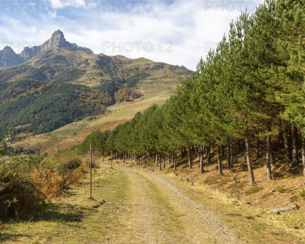 Mountain landscape Guarrinza - La Mina, Aragon Subordan river valley, Parque Natural Valles