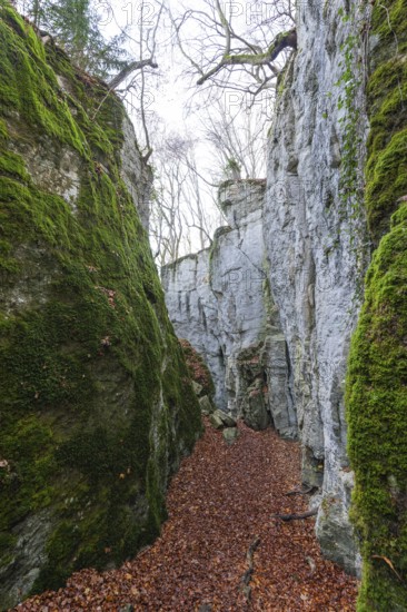 The climbing trail through the rocks and caves of hell holes in the autumnal landscape of Dettingen