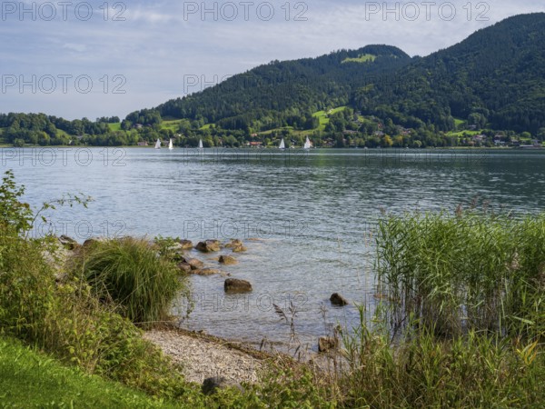 View from Bad Wiesee across Tegernsee to Sankt Quirin, shore of Tegernsee, Gmund am Tegernsee,