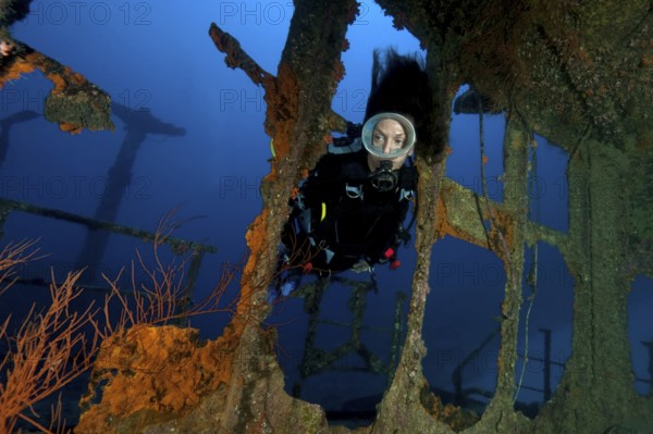 Diver deliberately submerged shipwreck wreck Silver Star, Indian Ocean, Pereybére, Mauritius in