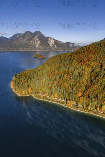 Mountain lake, mountains, sunny, morning light, autumn, autumn color, forest, aerial view,