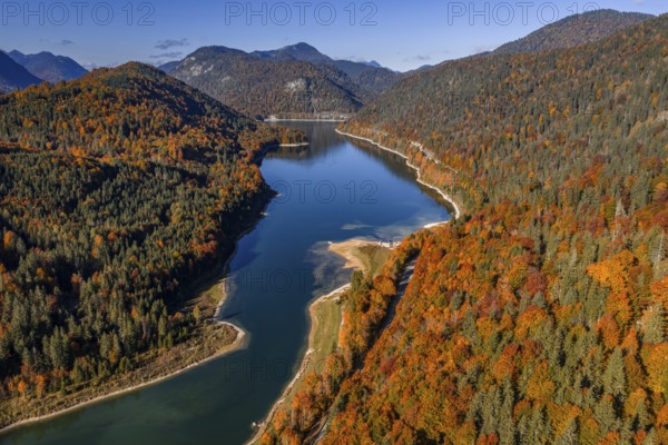 Mountain lake, mountains, sunny, morning light, autumn, autumn color, forest, aerial view,