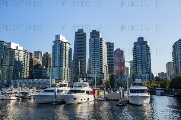 Sailing boats in marina, skyscrapers on the promenade, Coal Harbour, Vancouver, British Columbia,