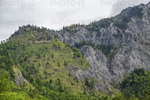 View into the mountains next to Lake Offensee on a rainy day in spring, Salzkammergut, Austria,