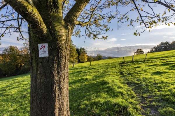 Autumn landscape in Elfringhauser Switzerland, south of Velbert-Langenberg, part of the Neanderland