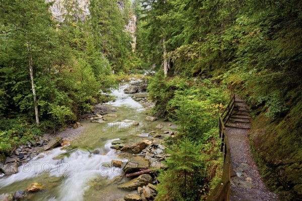 Wooden walkway on the Diosaz mountain river in the gorge, Gorges de la Diosaz, Les Houches,