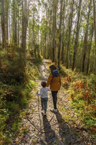 Mother and young child enjoying a peaceful walk along a sunlit dirt path covered in fallen leaves,