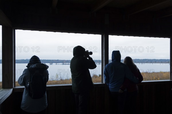 Bird watchers in the observation tower, Tister Bauernmoor, Tiste, Samtgemeinde Sittensen, Lower