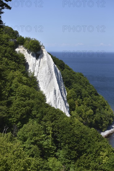 The Königsstuhl chalk cliff on Rügen, Sassnitz, Jasmund National Park, Mecklenburg-Western