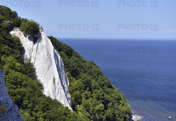 The Königsstuhl chalk cliff on Rügen, Sassnitz, Jasmund National Park, Mecklenburg-Western