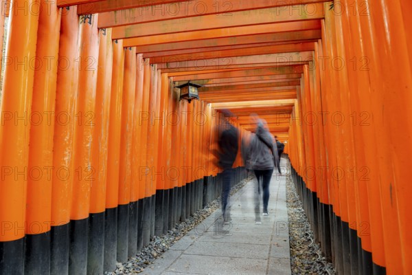 Visitors on a journey through hundreds of red traditional torii gates, Fushimi Inari-taisha, Shinto