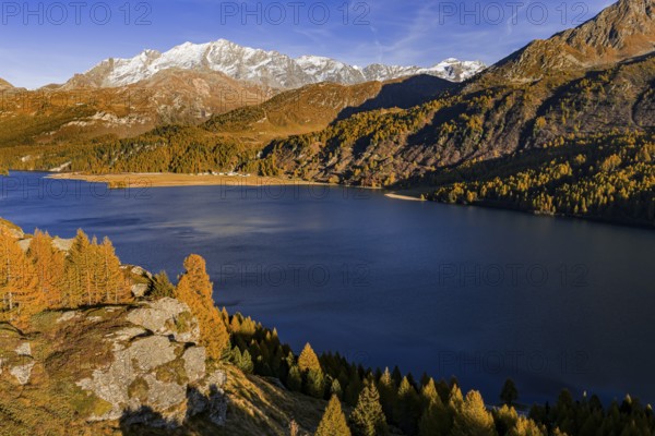 Mountain landscape, mountain lake, larch forest, autumn, autumn color, evening light, aerial view,