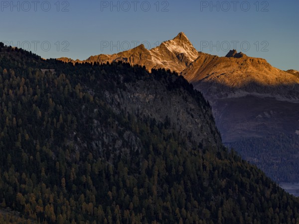 Mountain landscape, larch forest, autumn, autumn color, morning light, aerial view, Engadin,