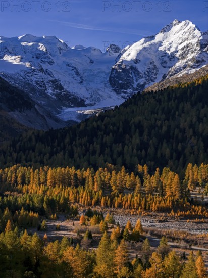 Mountain landscape, larch forest, autumn, autumn discoloration, morning light, aerial view,
