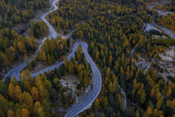 Mountain landscape, road, curvy, serpentines, larch forest, autumn, autumn discoloration, aerial