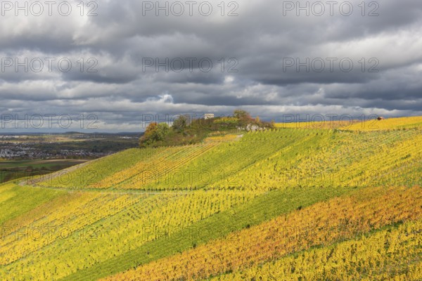 Glowing vineyards under a cloudy sky spread an autumnal atmosphere in the countryside,