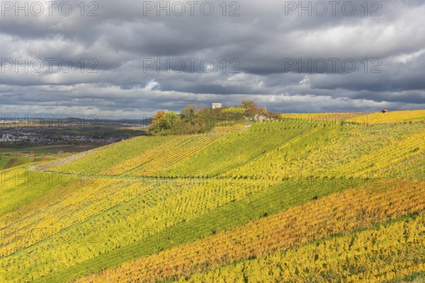 Colourful vineyards spread out under a cloudy sky. Autumn colors dominate the hilly landscape,