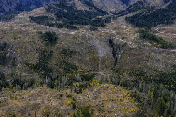 Logging, clearing, clearcut, timber industry, logging, mountain landscape, aerial view, autumn,