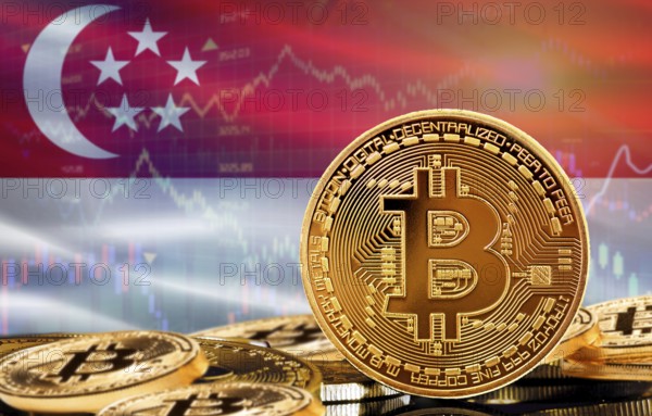 Investors in cryptocurrency and Blockchain Technology in Singapore, Concept. Bitcoin with Singapore