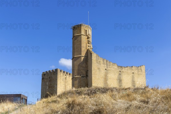 Castle and palace ruin in medieval village of Uncastillo, Cinco Villas, Zaragoza province, Aragon,