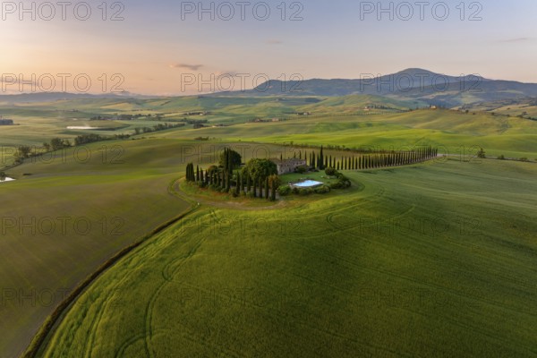 Estate with cypress alley (Cupressus) at sunrise, near San Quirico d'Orcia, Val d'Orcia, Siena