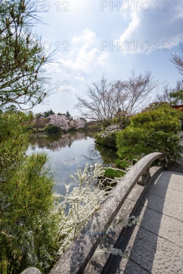 Bridge over Kyoyochi Pond in Japanese Garden, blooming cherry trees, Ryoan-ji, Zen Buddhist temple